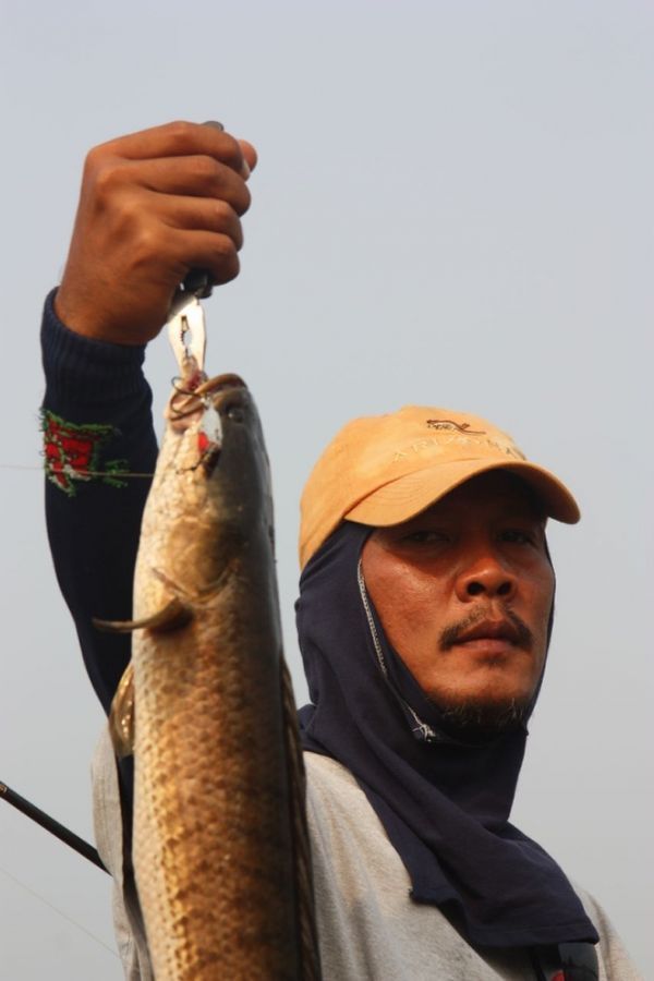 กัดมันส์ๆ........กับช่อนแปดริ้ว