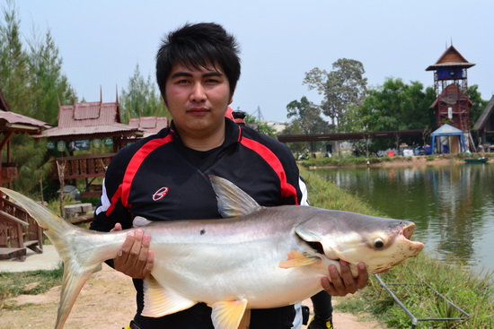 หาวัตถุดิบไปทำลาบ,ต้มยำและเผาเกลือครับ (ต่ออีกนิด)