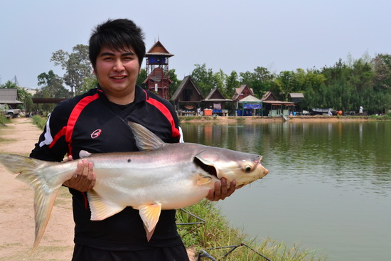 หาวัตถุดิบไปทำลาบ,ต้มยำและเผาเกลือครับ (ต่ออีกนิด)