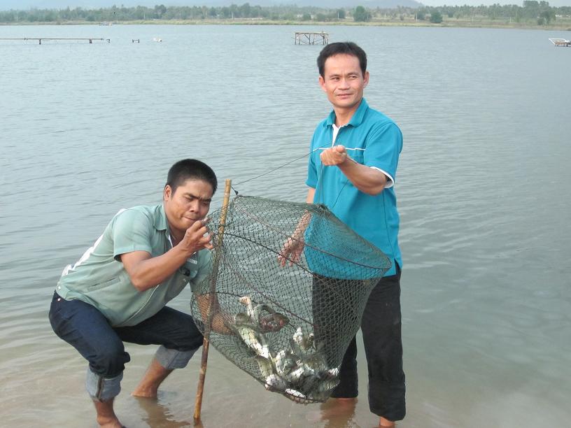 ทรีปนี้ที่   หนองค้อ