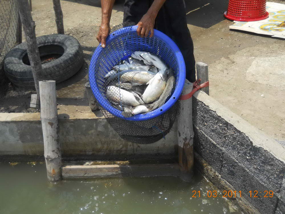 =========ลุงดำ Fishing=========