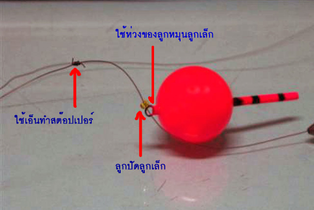 ใช้หมดแล้วอย่าทิ้ง...(ทุ่นลูกถ้วย)