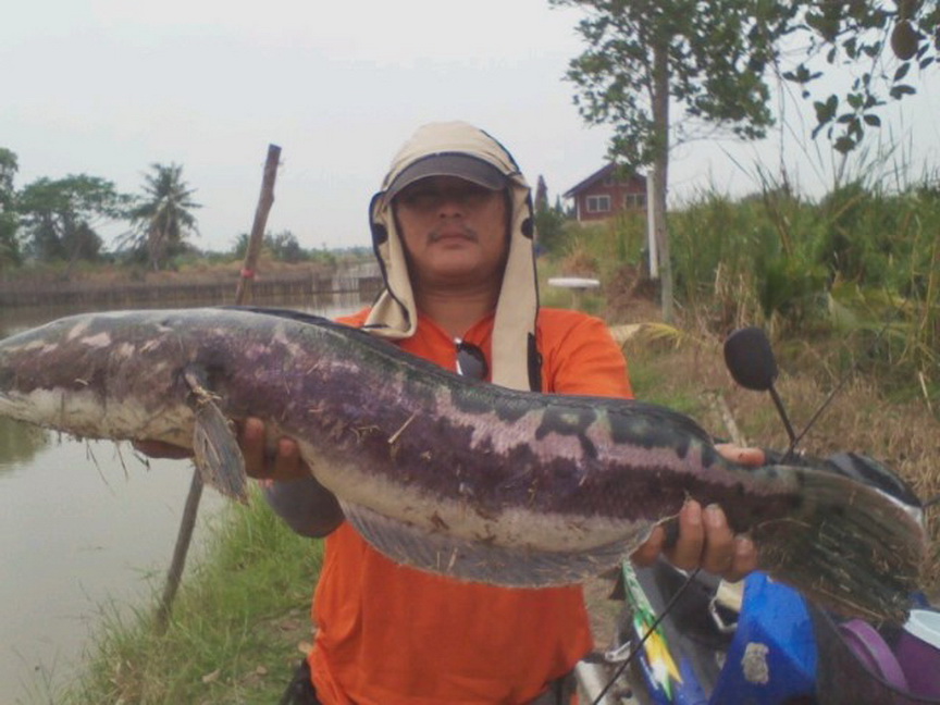 บ่อตกปลาชวนชม