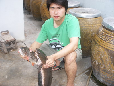 มาดูปลาช่อนแม่น้ำแม่กลองกันครับ