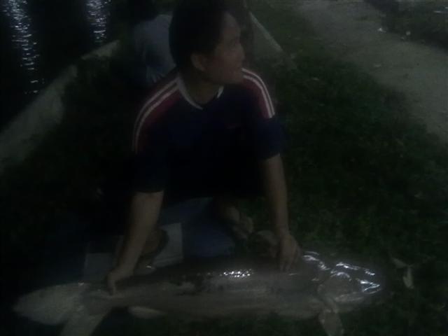 บึกที่บ่อสมใจ