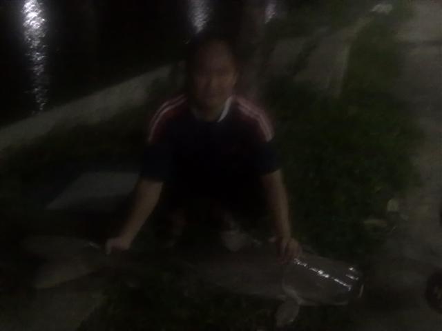 บึกที่บ่อสมใจ