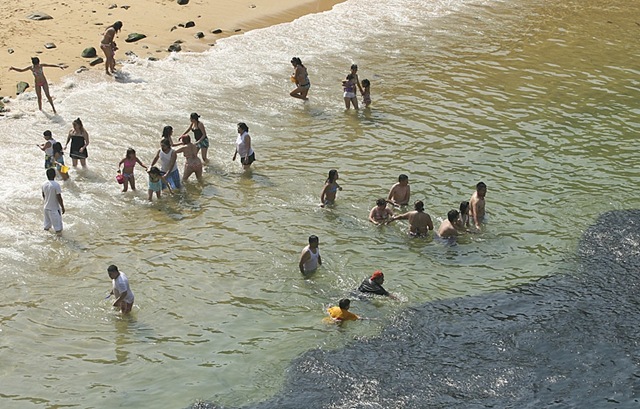 นับแสน หนีตายจากญี่ปุ่นมาโผล่ที่ชาดหาดเม็กซิโก" 