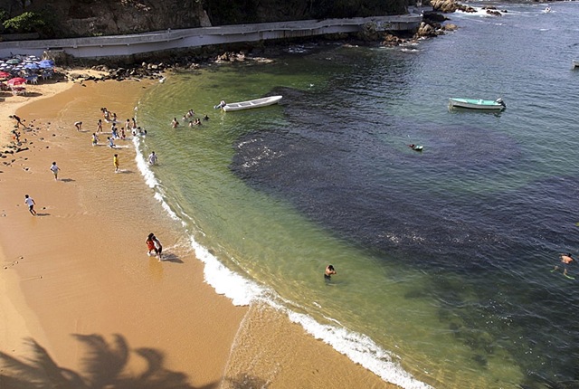 นับแสน หนีตายจากญี่ปุ่นมาโผล่ที่ชาดหาดเม็กซิโก" 
