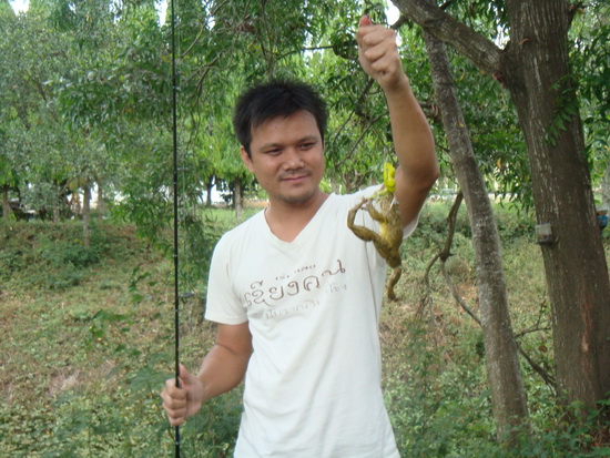 Scum Frog VS Frog