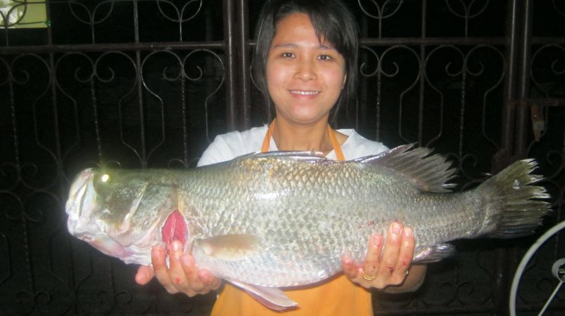 แม่บ้านน้าออยปลายางกับปลาแกงส้มปักษ์ใต้  (หร่อยๆ)