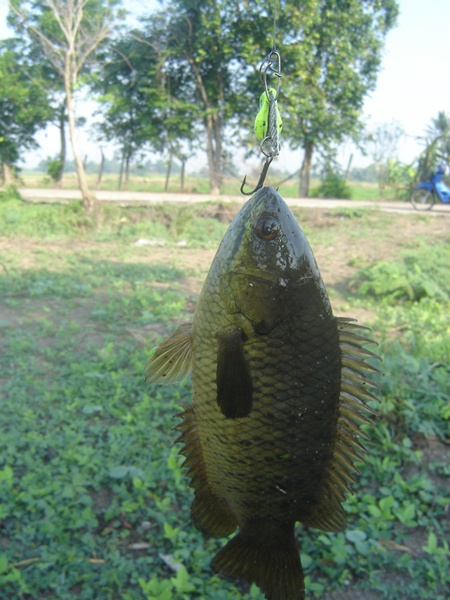 ส่งการบ้าน ครั้งที่ 3 ( กว่าจะทำเสร็จ....)