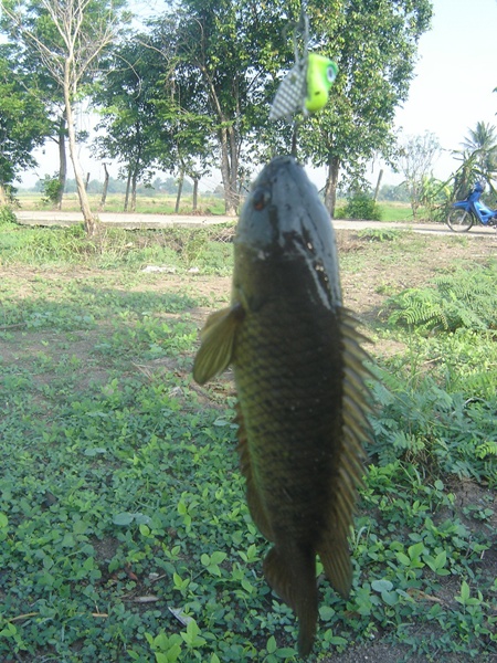ส่งการบ้าน ครั้งที่ 3 ( กว่าจะทำเสร็จ....)