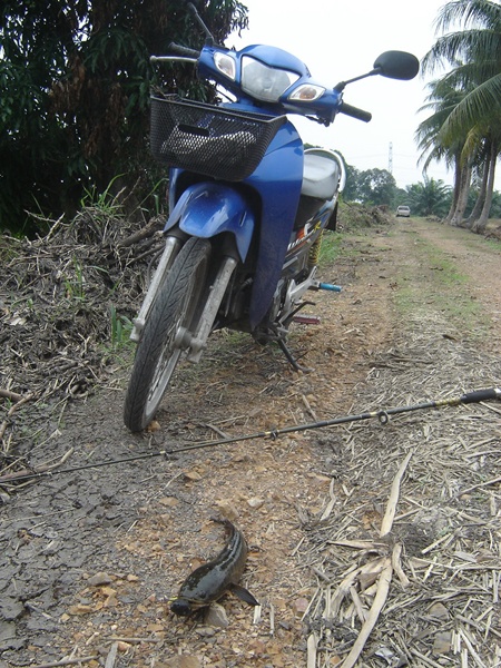 ส่งการบ้าน ครั้งที่ 3 ( กว่าจะทำเสร็จ....)