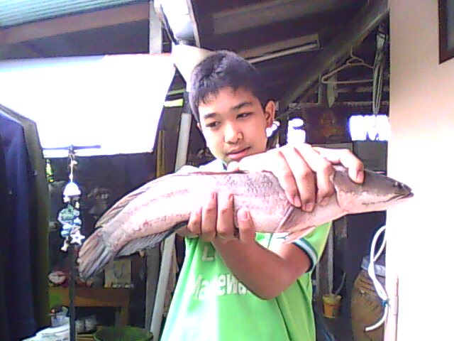 ตัวแรกของคันใหม่