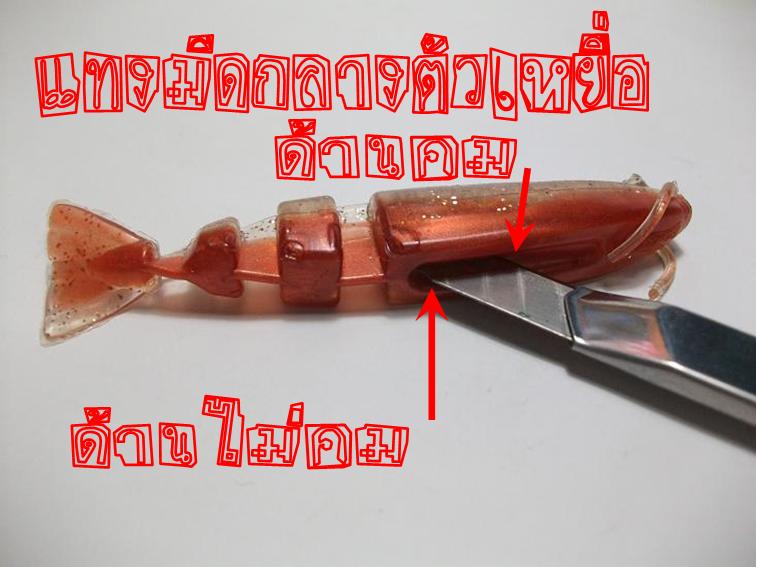 เคล็ดลับ การเกี่ยวเหยื่อ (กุ้ง) TEXAS