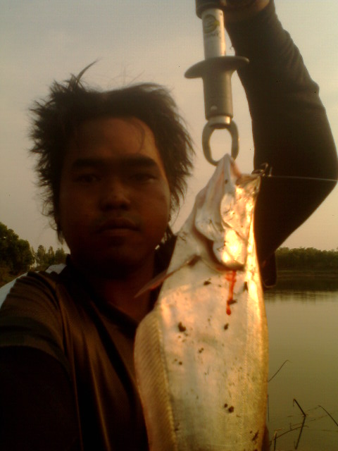 ช่อนที่ อ.ท่าตูม 