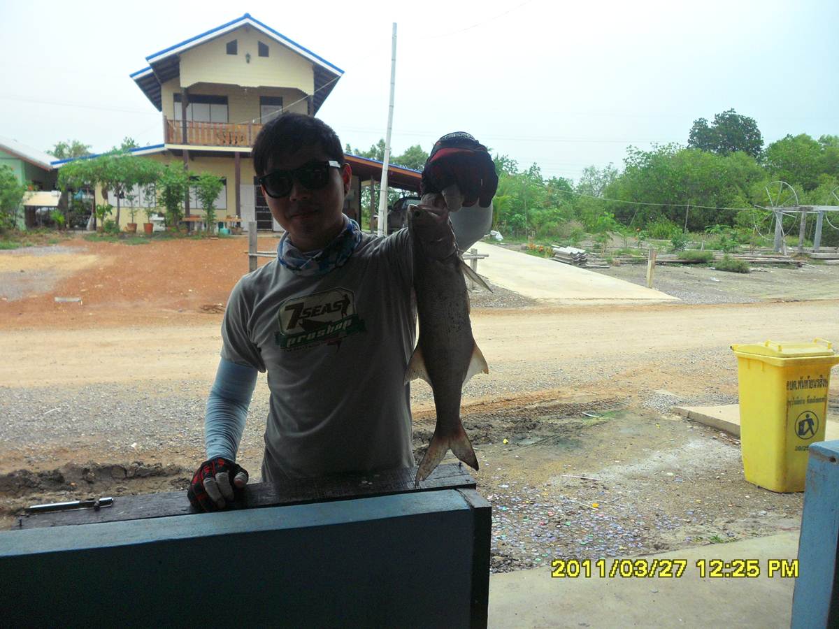 ...ฉลองครบรอบ 1 ขวบ ..."บ่อน้องพลอย"...