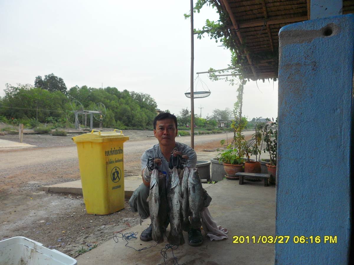 ...ฉลองครบรอบ 1 ขวบ ..."บ่อน้องพลอย"...