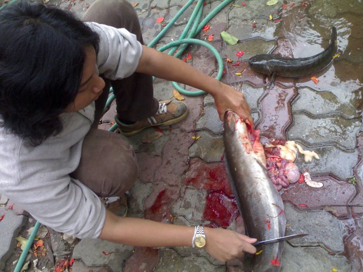 ดุกยักษ์ๆมันใหญ่มาก