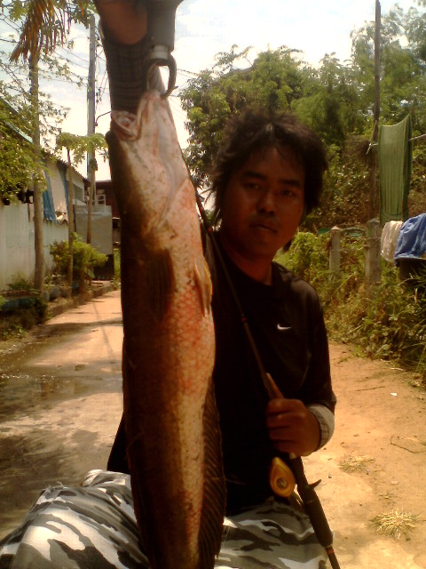 ได้ มา หมาด ๆ