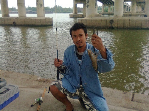 กุ้งใหญ่ยังมีภาค2 