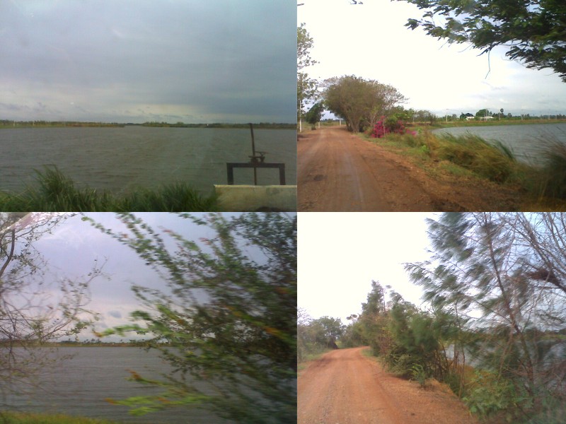 หนอง 7เส้น จ.อ่างทอง 