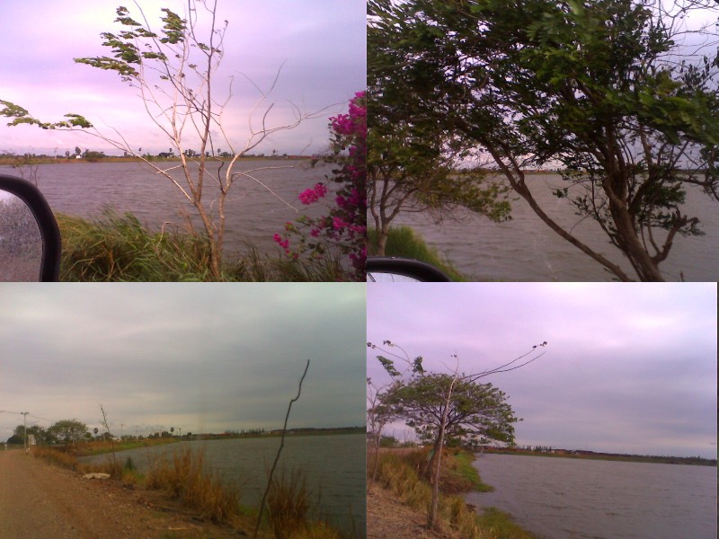 หนอง 7เส้น จ.อ่างทอง 