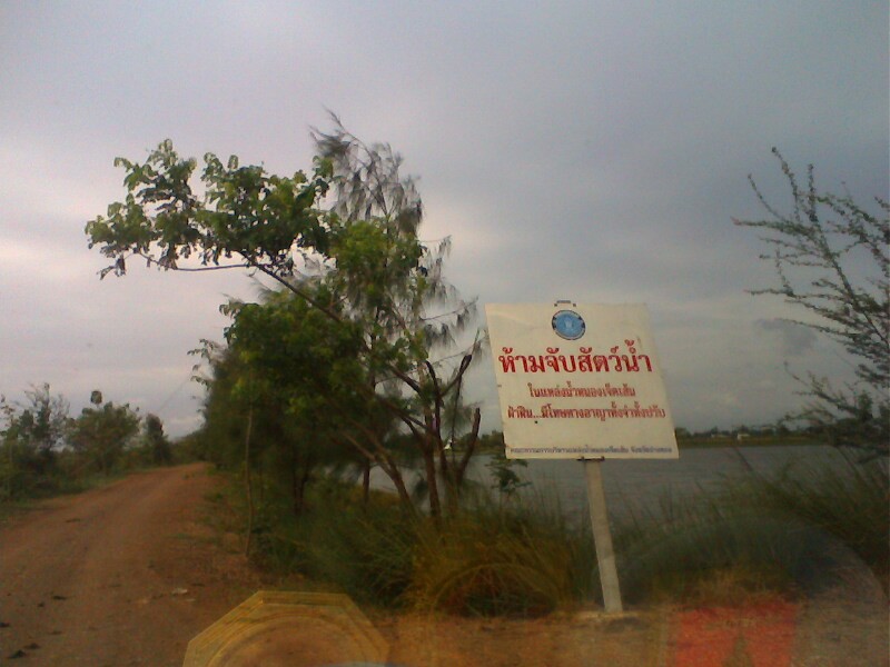หนอง 7เส้น จ.อ่างทอง 