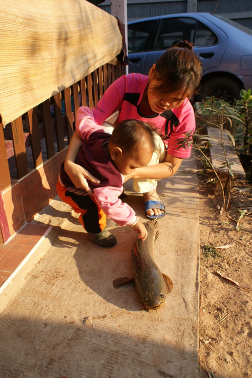 เริ่มรวม... ผลงานปีนี้...2011 คนนางรอง