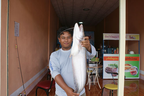 เริ่มรวม... ผลงานปีนี้...2011 คนนางรอง