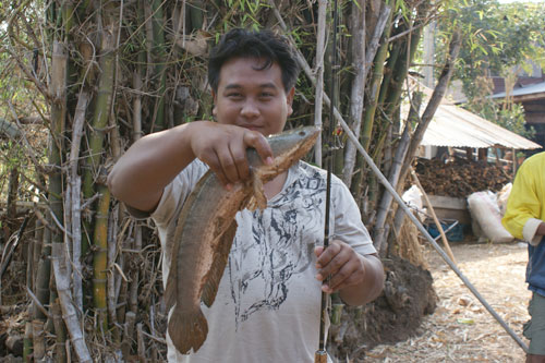 เริ่มรวม... ผลงานปีนี้...2011 คนนางรอง