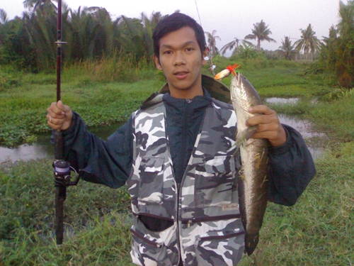 ปลาช่อน เพชรบุรี