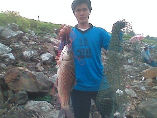 ตกปลานิลหนองค้อ