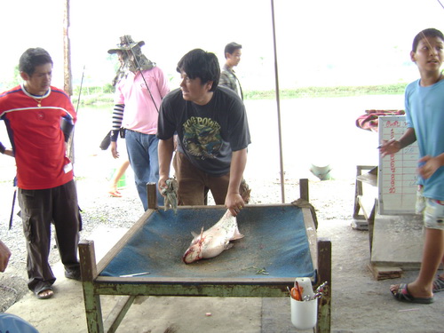 ><><อาทิตย์รวมใจที่ปลายนา....จ้าวซันครับผม*_*