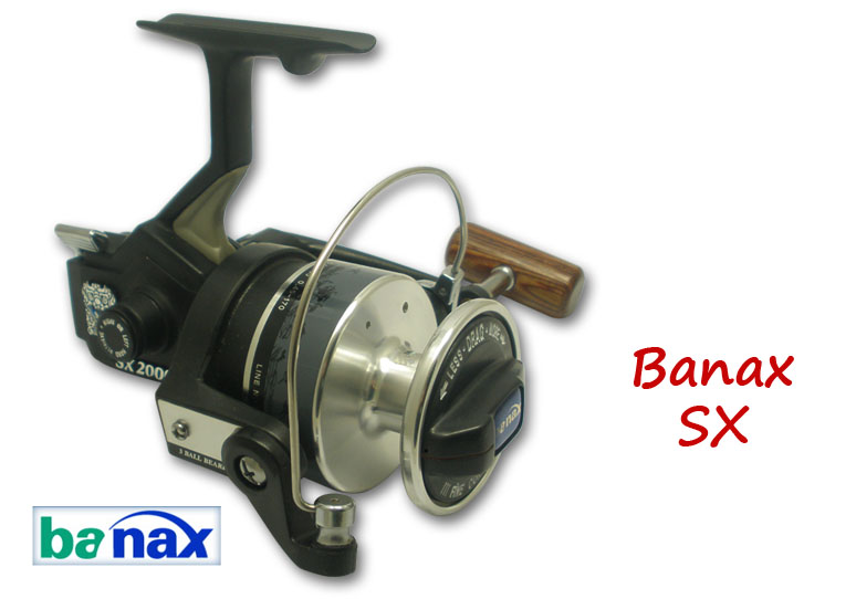 banax sx bsnax sxg