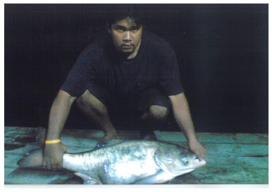 ปลาเกล็ดเงาน้ำ(เมื่อครั้งยังมีแข่งวันอาทิตย์)