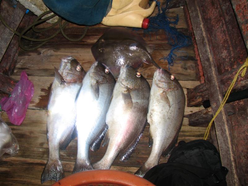 เเสมสาร nightfishing ช่วงสงการนต์