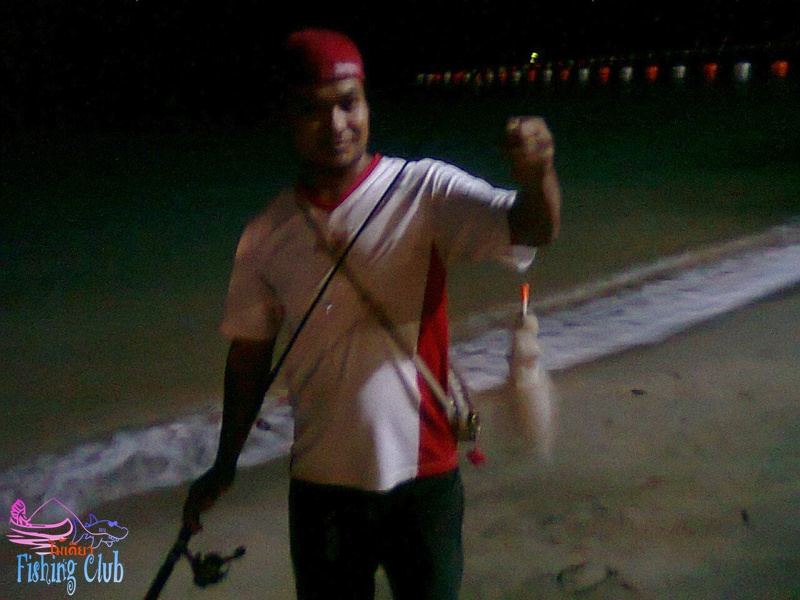 ๑๑ ทริปเล็กๆ กับปลาหมึกชายฝั่ง หาดจอมเทียนคับ ๑๑