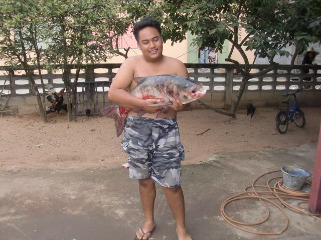 ฟ้าสางที่พันเสด็จ 3