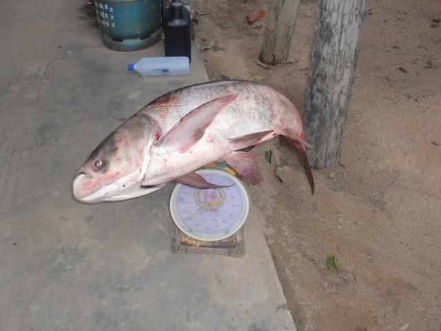 ฟ้าสางที่พันเสด็จ 3