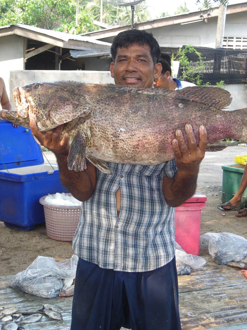 ขาด 2ท่านเรือไต๋บิลลี่ บางสะพาน