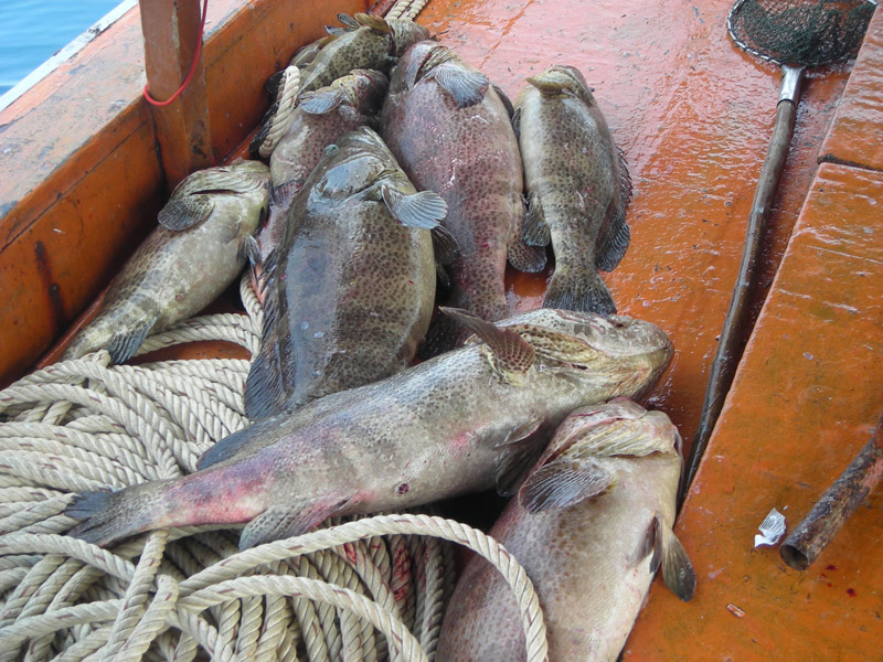 ขาด 2ท่านเรือไต๋บิลลี่ บางสะพาน