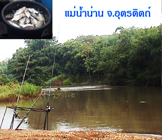 My Image 26
