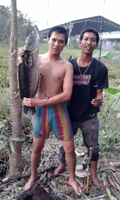 แก๊งตกปลา..กบินทร์