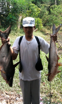 แก๊งตกปลา..กบินทร์