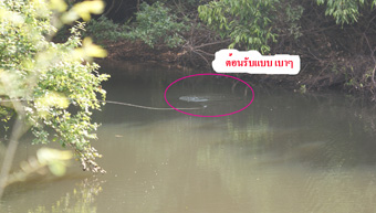 พาน้องไปเสียตัว