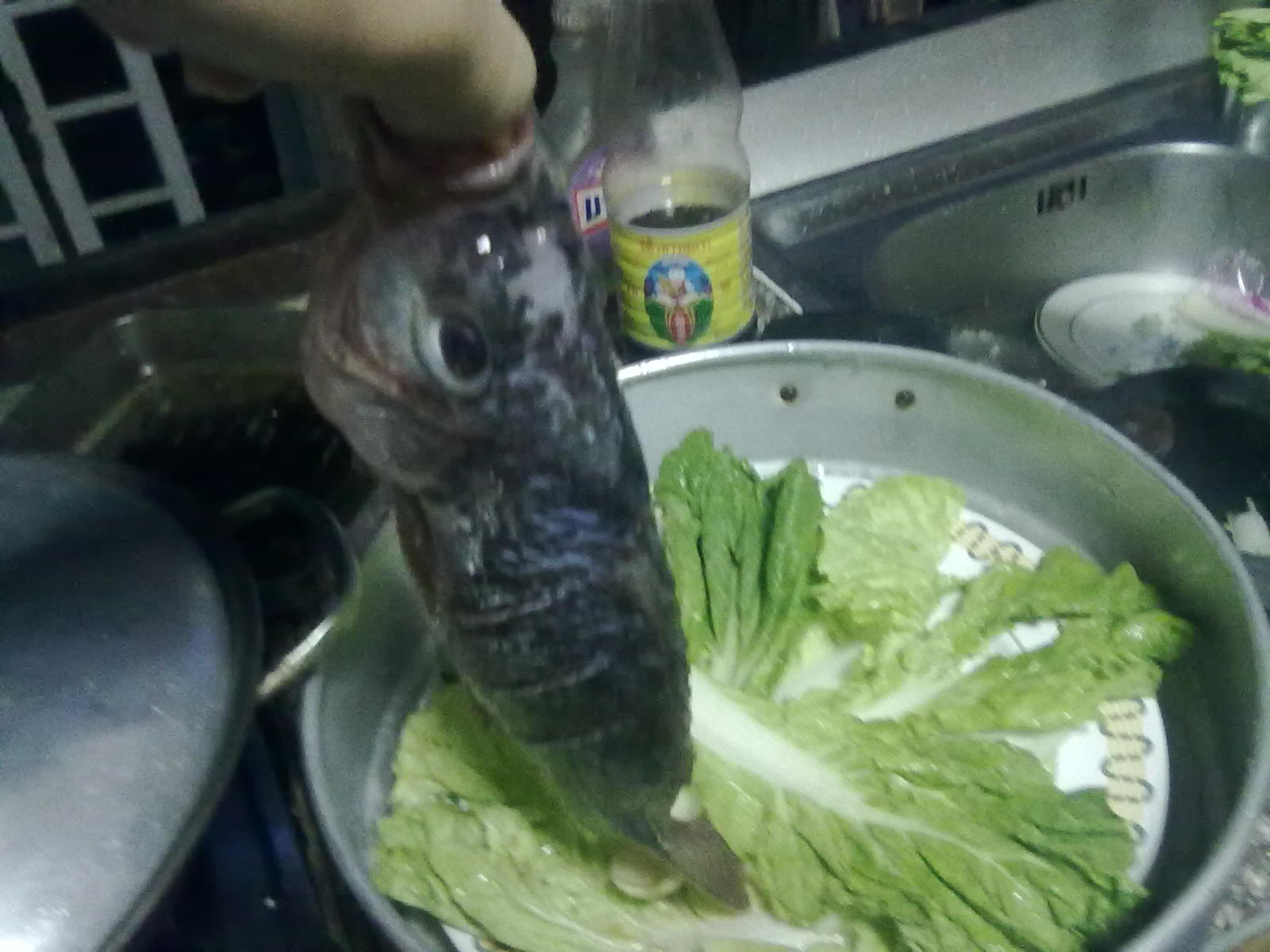 ปลานิลตัวเล็กๆ