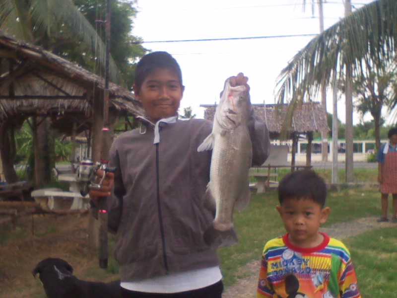เรื่องเด็กๆ กับกระพง เทกซัสชวนชม
