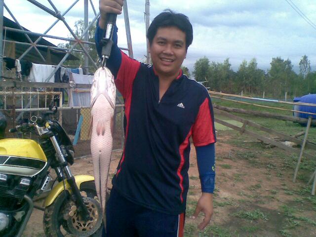 ทดลองส่งดูครับ