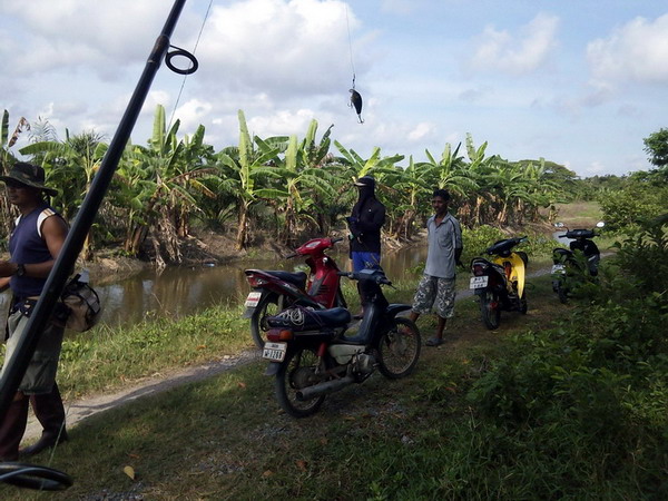 เวฟ125เฉพาะกิจ
